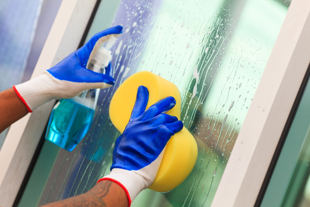 Interior Window Cleaning